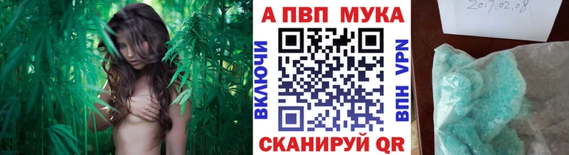 Alfa_PVP СК КРИС  Красавино 