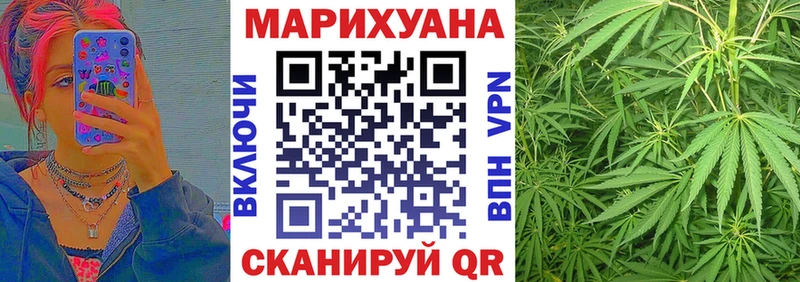 darknet наркотические препараты  Красавино  Шишки марихуана SATIVA & INDICA  наркошоп 